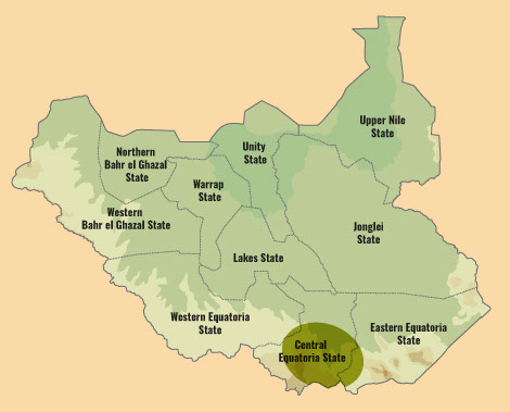 Non-state institutions and actors – community defense forces - The ...